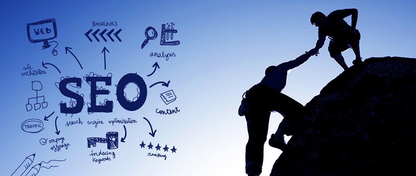 Website Developers & Designers